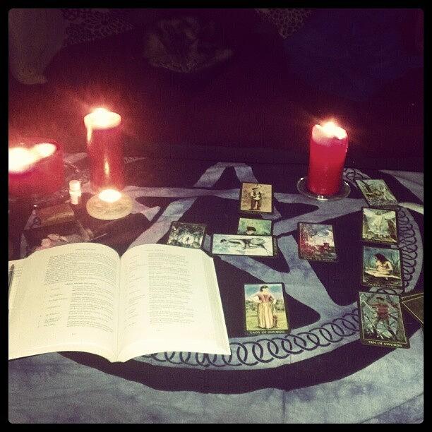 Cat Photograph - Reading The Cards #tarot #divination by Bee Mcmahon