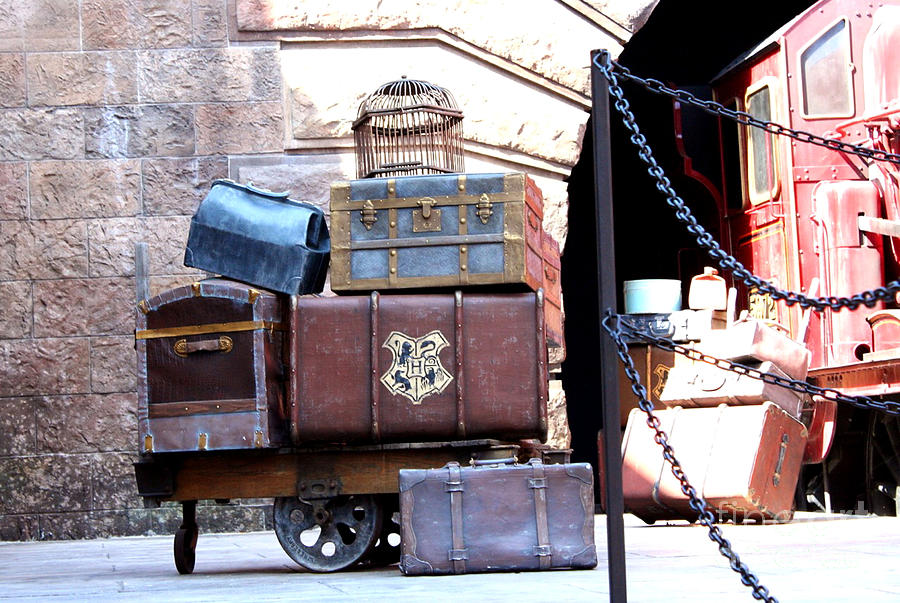 Ready for Hogwarts Photograph by Shelley Overton