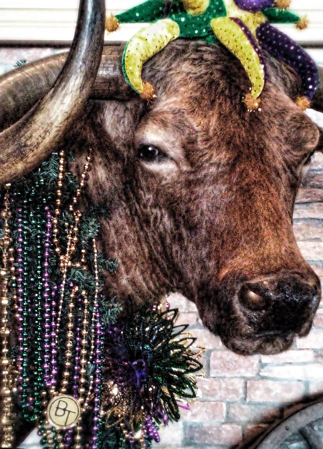 mardi gras cow bladder