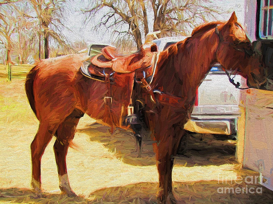 Horse Photograph - Ready For Some Ropin by Shannon Story