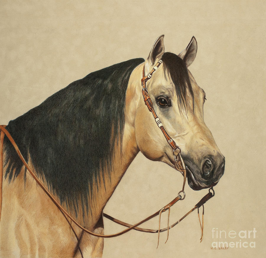 Western Horse Drawing - Ready To Win by Helen Bailey