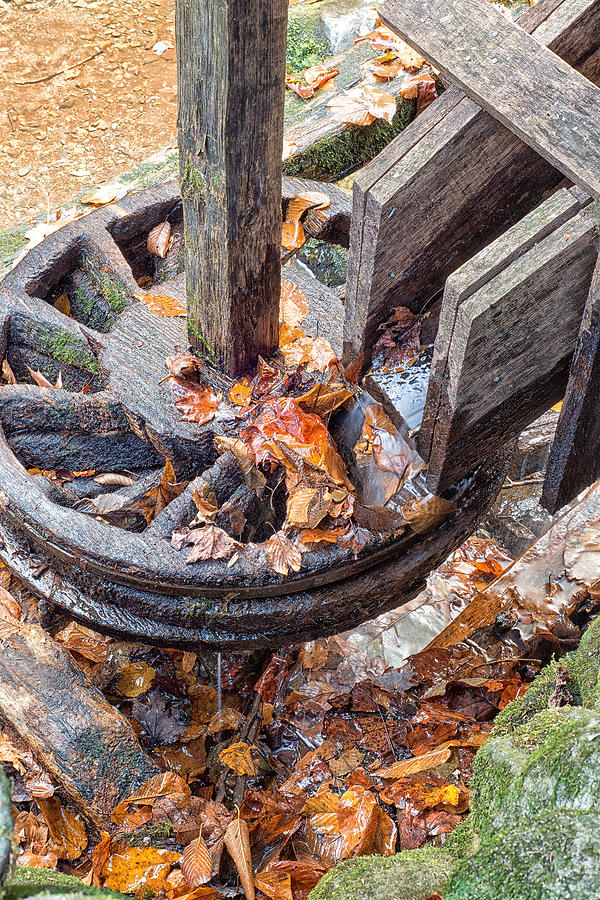 Reagan Mill Tub Wheel Photograph by Victor Culpepper