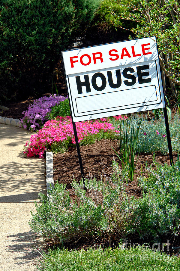 Real Estate For Sale Sign and Garden Photograph by Olivier Le Queinec