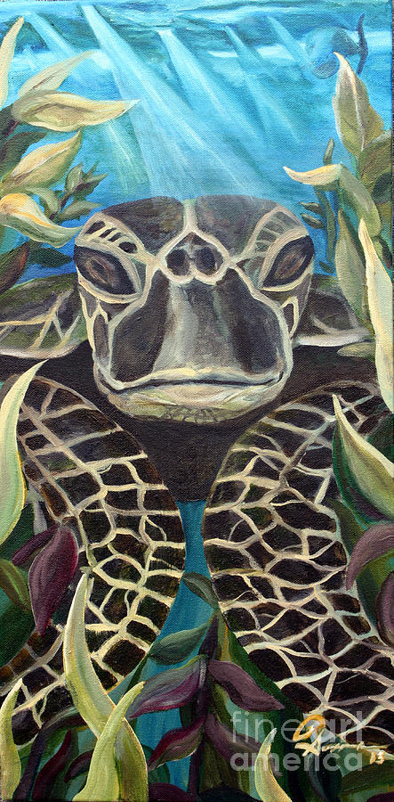 Real Turtle Painting by Robert Schippnick - Fine Art America