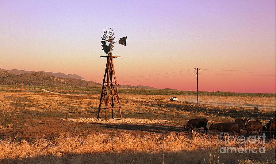 Real West Texas  Photograph by Paul Anderson