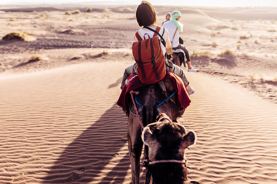 Rear view of people riding camels in desert Photograph by Oscar Wong
