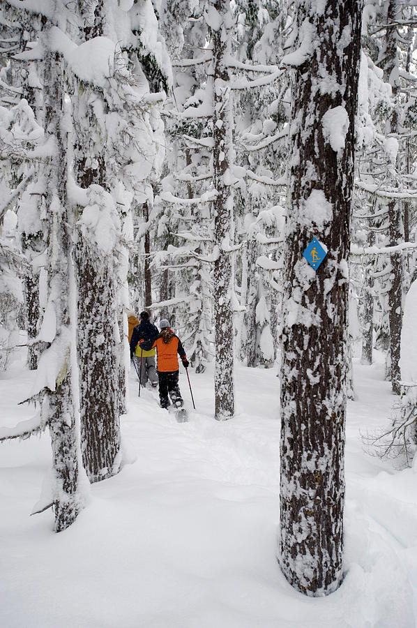 Rear View Of Three Adults In Snowshoes Photograph by Jonathan Kingston Rear View Of Three Adults In Snowshoes Photograph by Jonathan Kingston