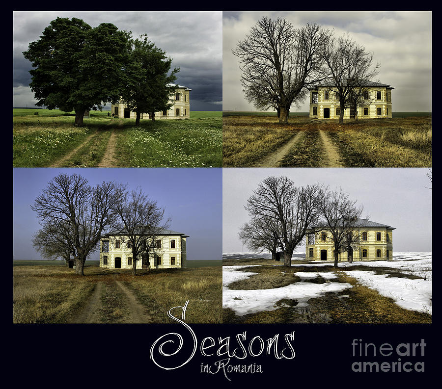 Reasons Or Seasons Or Lifetime In  Romania Photograph