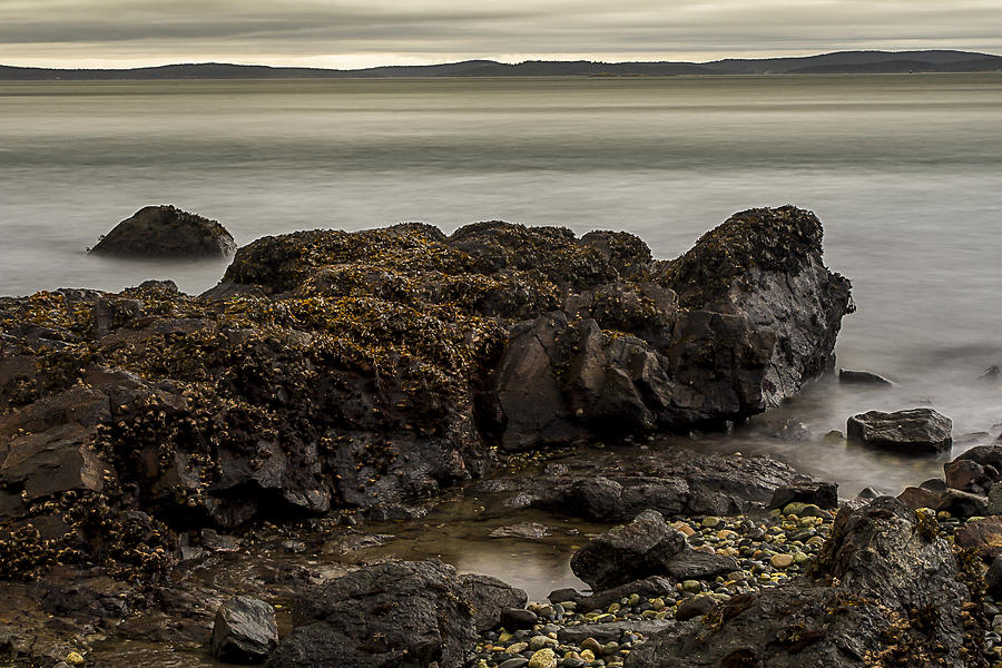 Receding Tide Photograph by Tony Locke