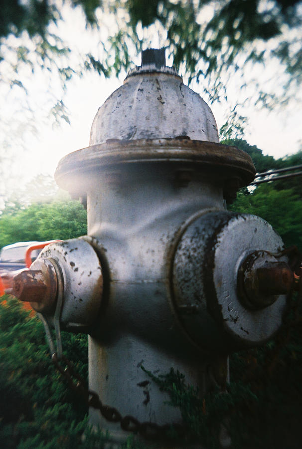Recesky - Fire Hydrant Photograph by Richard Reeve