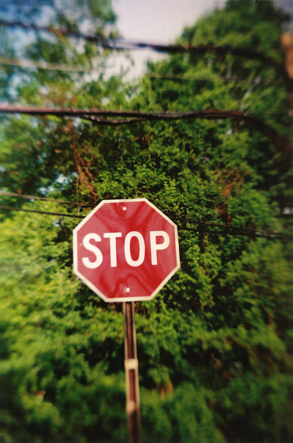 Recesky - Stop Sign Photograph by Richard Reeve