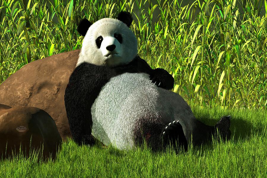 Reclining Panda Digital Art by Daniel Eskridge