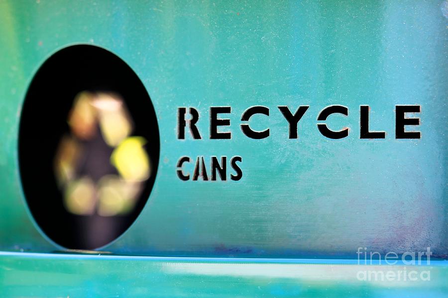 Recycle Cans Photograph by Henrik Lehnerer