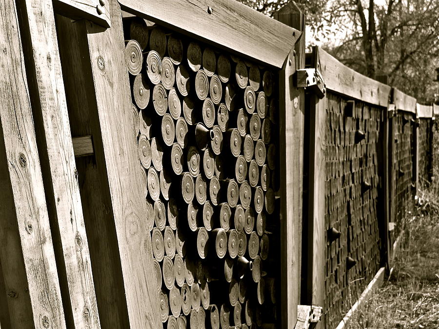 Recycled Fence Photograph by Kim Pippinger