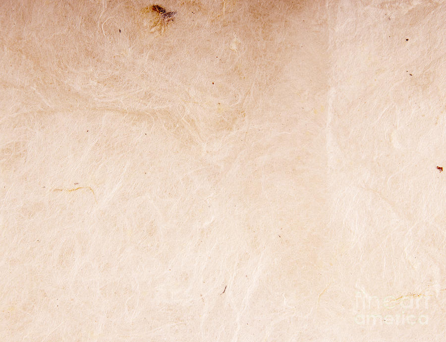 Recycled Paper Texture Photograph by THP Creative