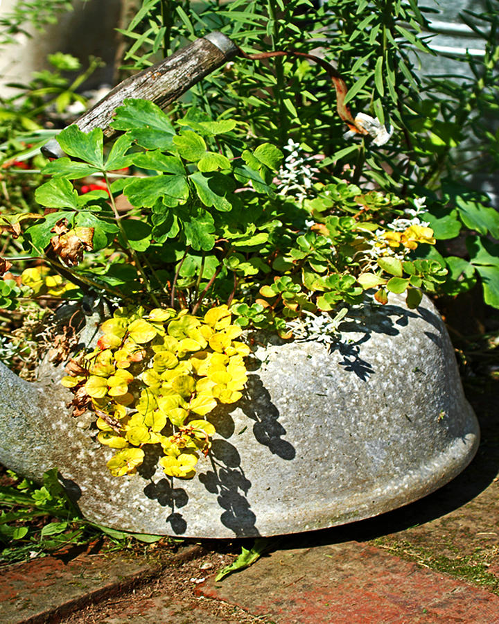 Recycled Tea Pot Photograph by Randall Templeton - Fine Art America