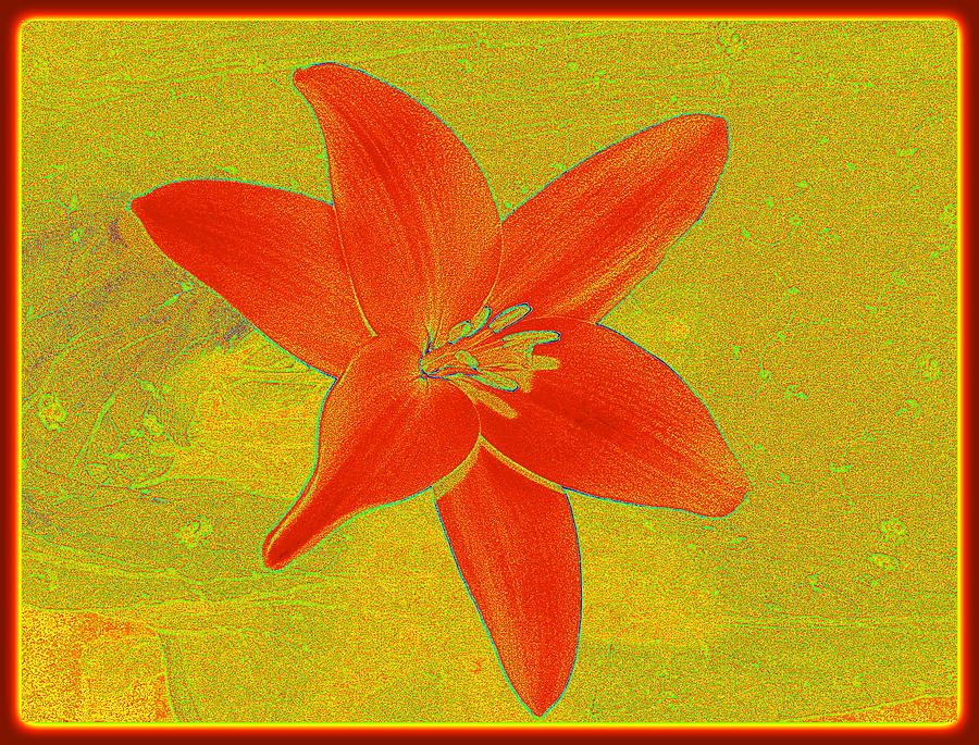 Red Abstract Lily Photograph by Kathy Barney