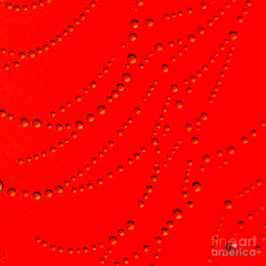 Red Abstract Photograph by Ronald Grogan