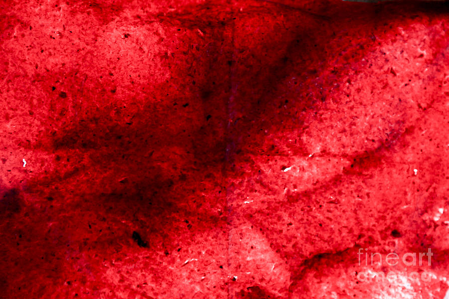 Abstract Photograph - Red abstract with a fall leaf by Vladi Alon