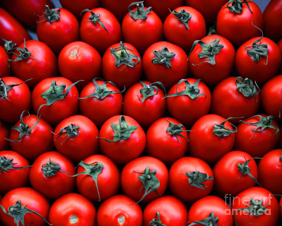 Fruit Photograph - Red by Alex Dudley