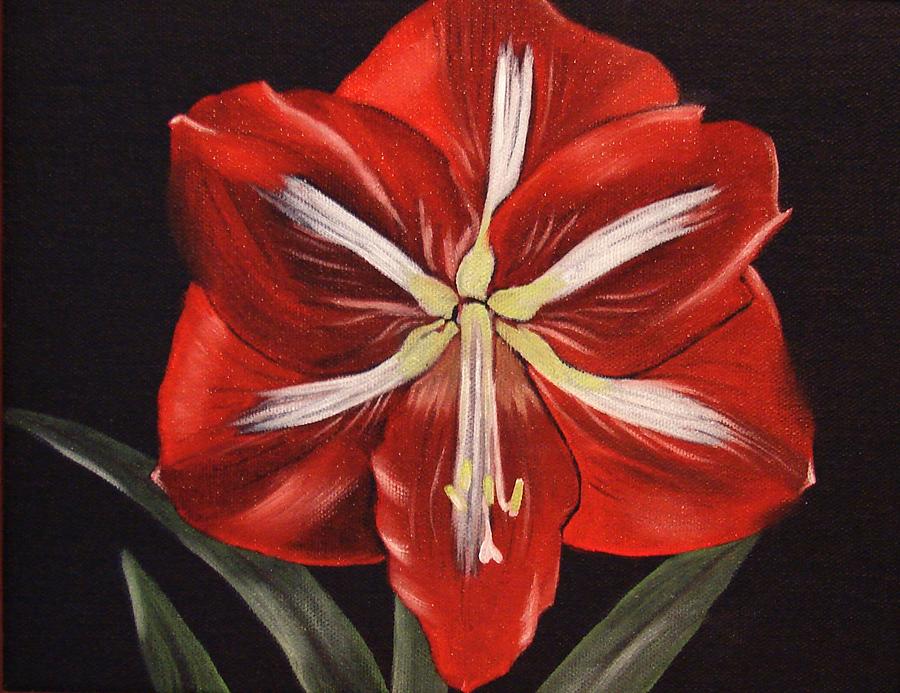 Red Amaryllis Painting by Kristina Hauk - Fine Art America