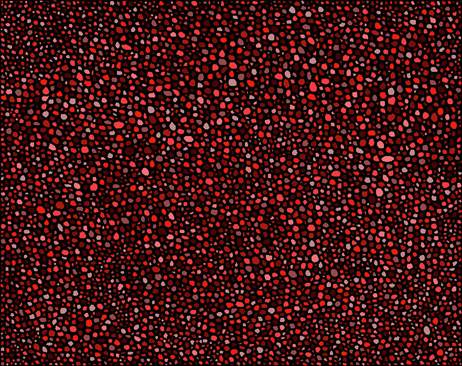 Red and Black Circles Digital Art by Janice Dunbar