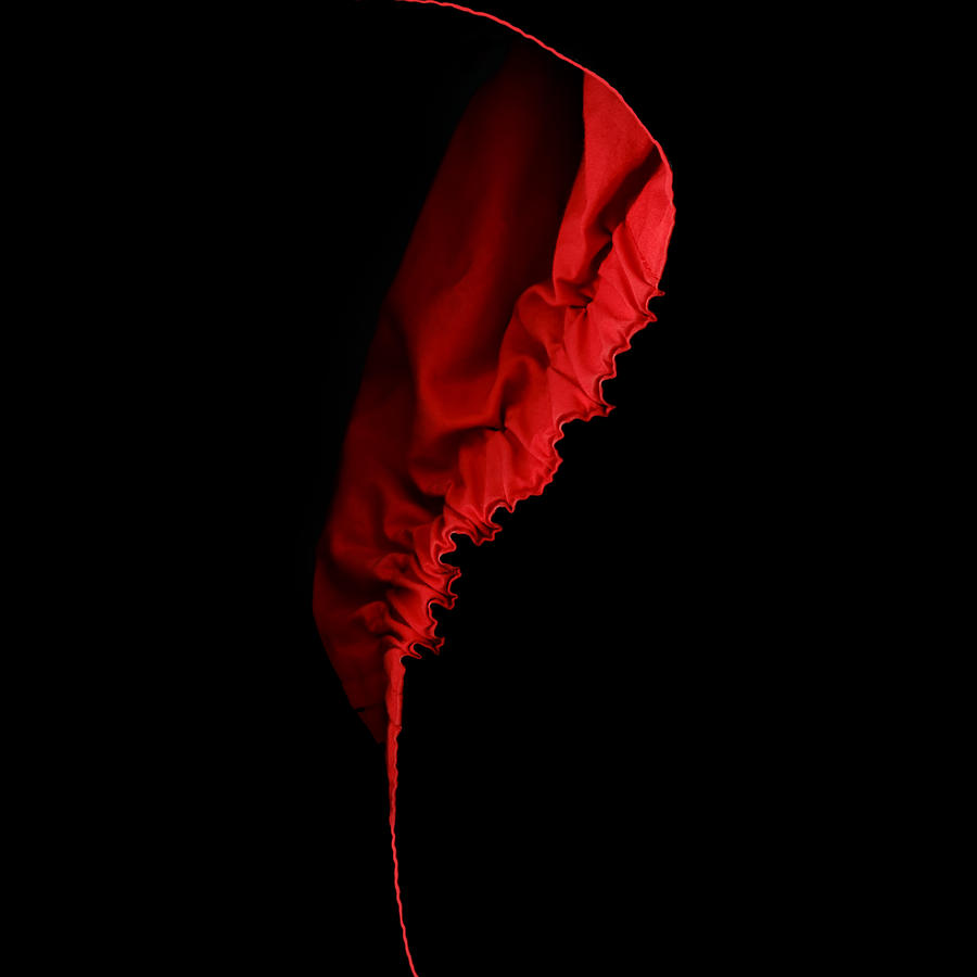 Red and Black - Duvet Photograph by Nikolyn McDonald