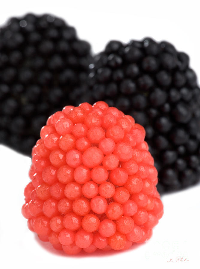Candy Photograph - Red and Black Gummy Raspberries by Iris Richardson