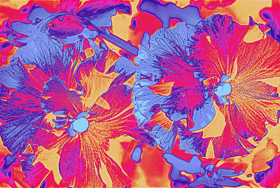 Abstract Photograph - Red and Blue Pansies Pop Art by Dora Sofia Caputo