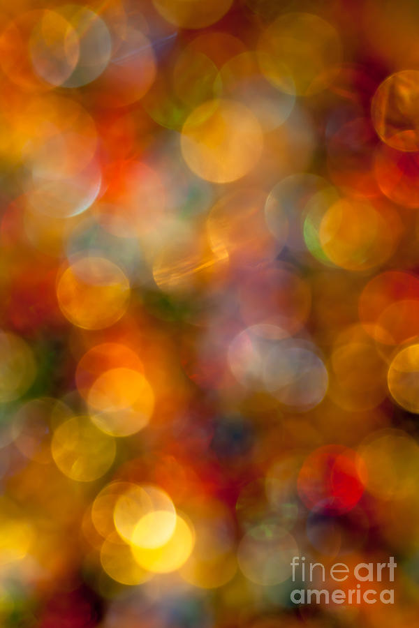Red and Gold Bokeh Photograph by Jan Bickerton