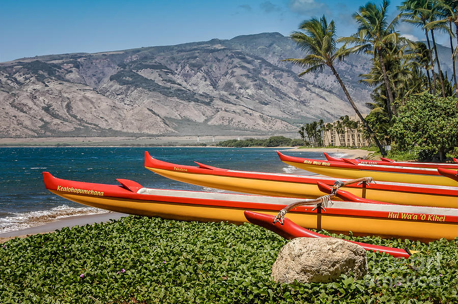 Red And Gold Canoes Of The Kihei Canoe Club Photograph