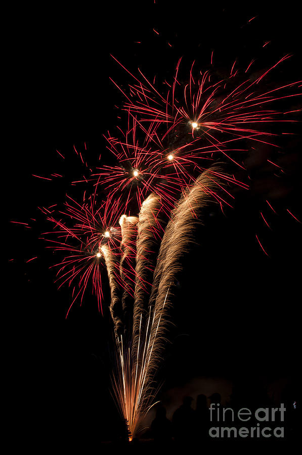 Salem Photograph - Red and Gold Fireworks by M J