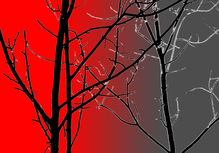 Tree Photograph - Red And Gray by Cynthia Guinn