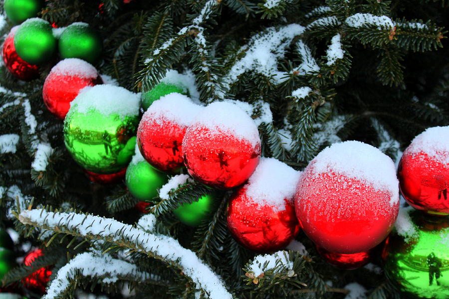 Red and Green Christmas Ornaments Photograph by Suzanne DeGeorge