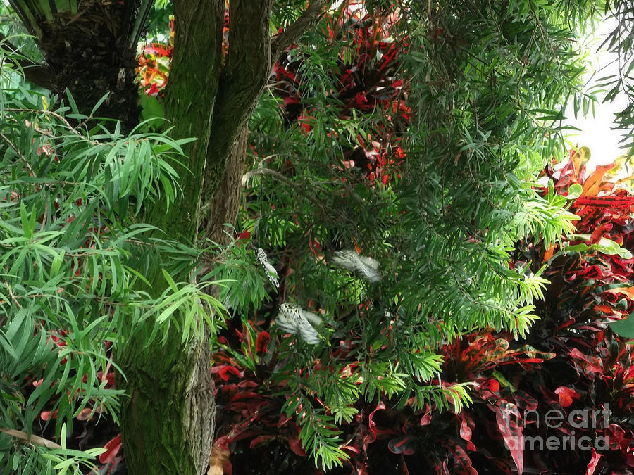 Red and Green Foliage Photograph by Luther Fine Art