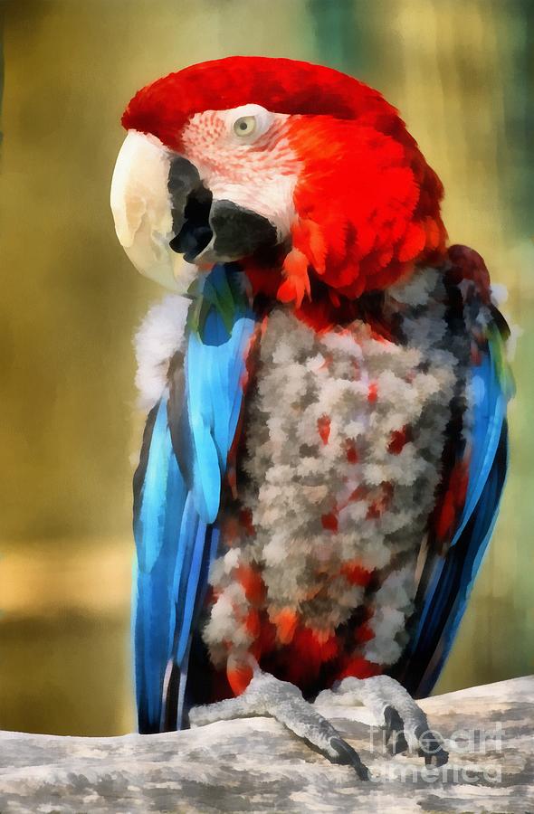 Macaw Painting - Red and Green Macaw by George Atsametakis