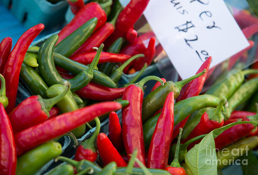 Red and Green Peppers for sale Photograph by Rebecca Cozart