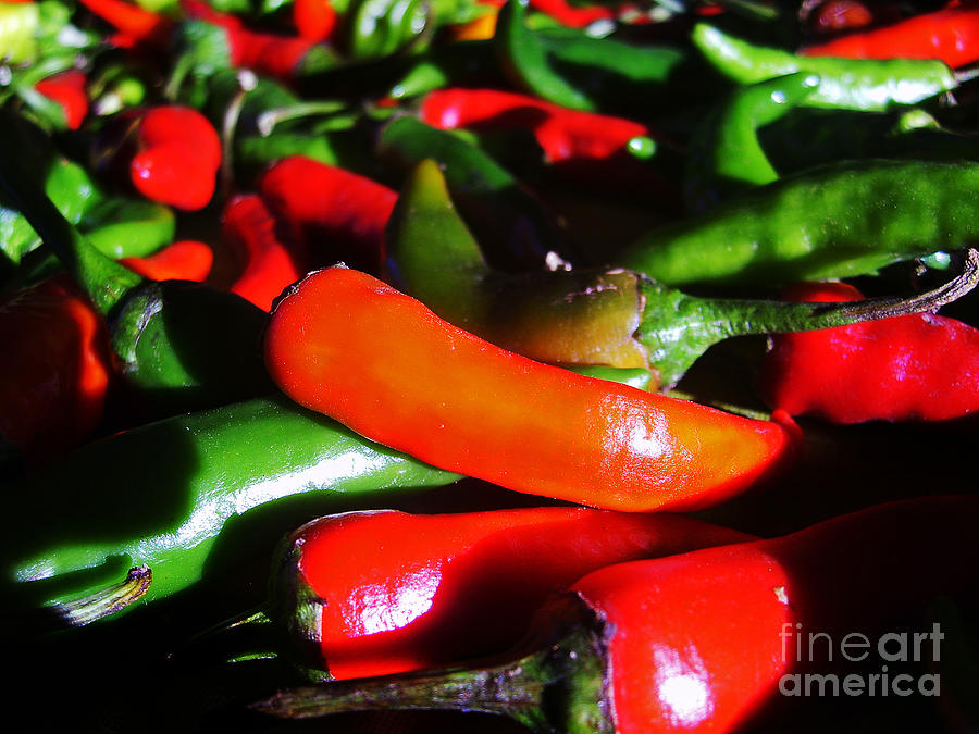 Red And Green Peppers Photograph by Nina Ficur Feenan