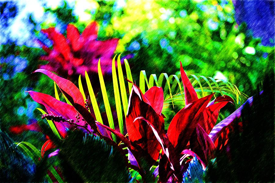 Red and Green Plants Photograph by Richard Zentner