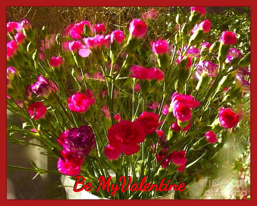 Red and Pink Carnations Valentine Photograph by Joan-Violet Stretch