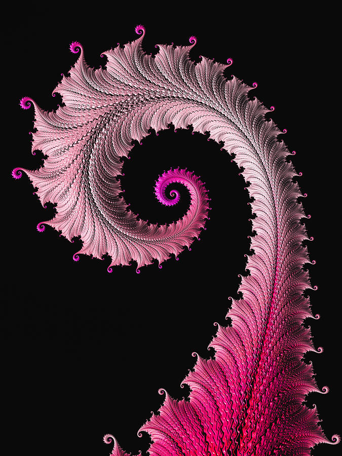 Red and pink fractal spiral Digital Art by Matthias Hauser