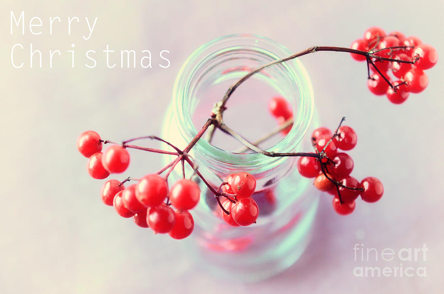 Red and Pink Merry Christmas Photograph by Sabine Jacobs