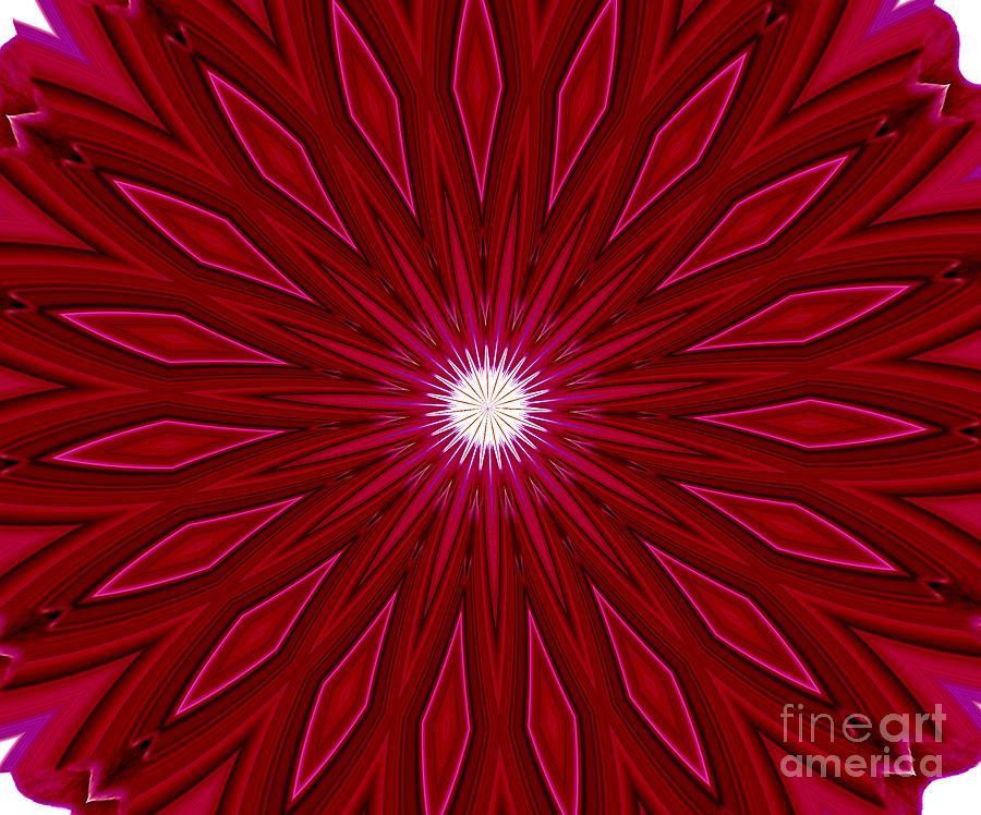 Red and Pink Orchid Kaleidoscope Photograph by Rose Santuci-Sofranko