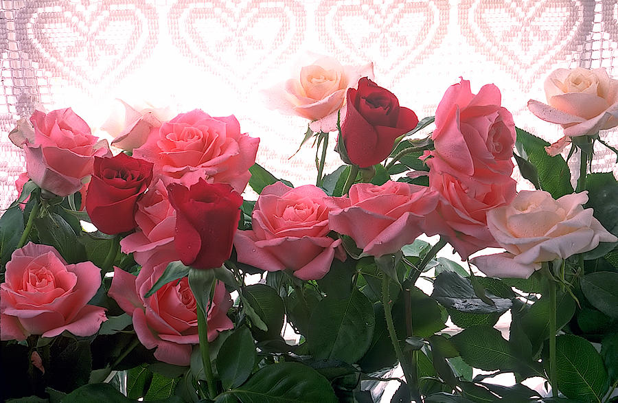 Rose Photograph - Red and pink roses in window by Garry Gay