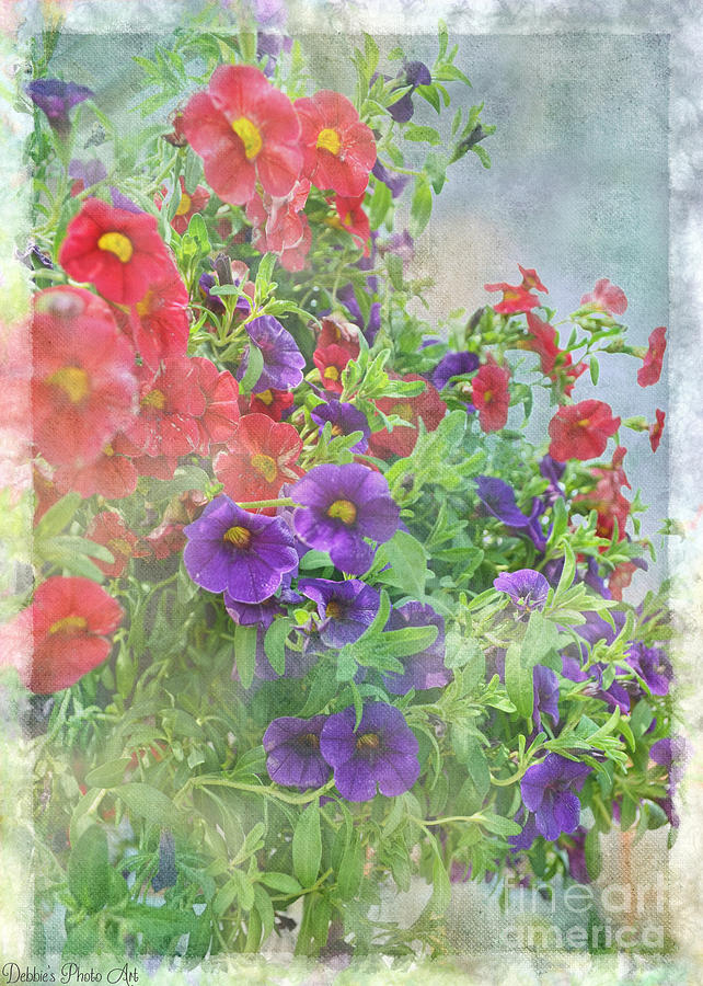 Red and Purple Calibrachoa Photograph by Debbie Portwood