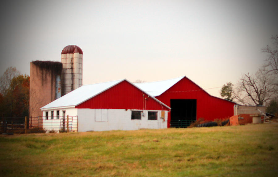 Red And White Barn Photograph by Cynthia Guinn