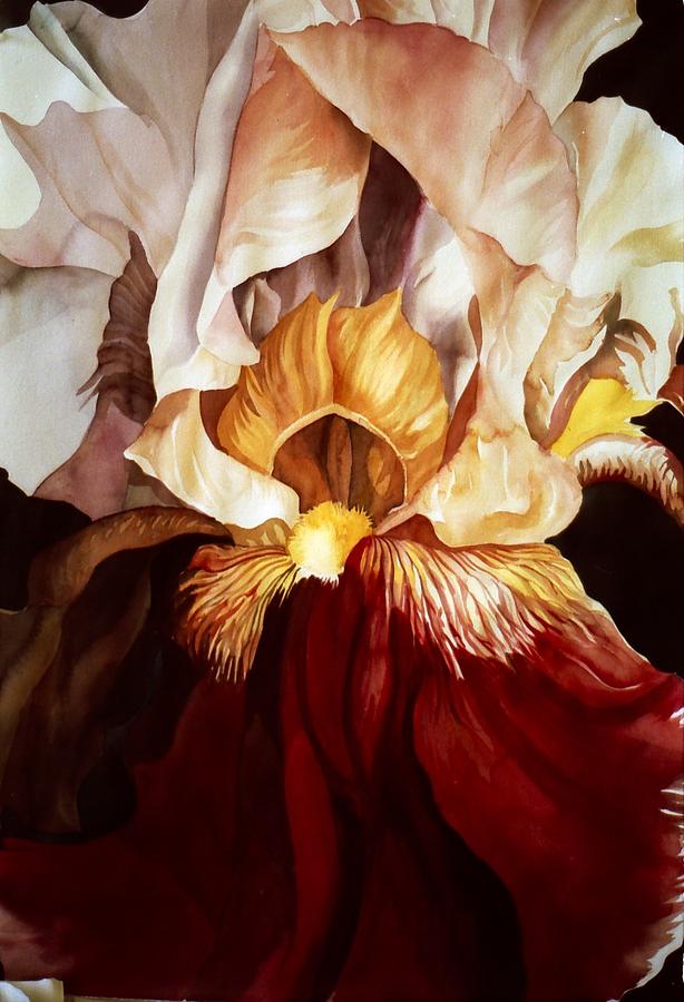 Red And White Iris Painting by Alfred Ng