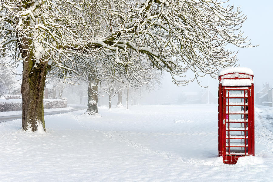 Winter Calls Photograph by Richard Burdon