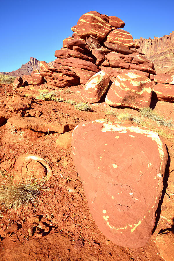 Canyonlands National Park Photograph - Red and White Rocks by Ray Mathis