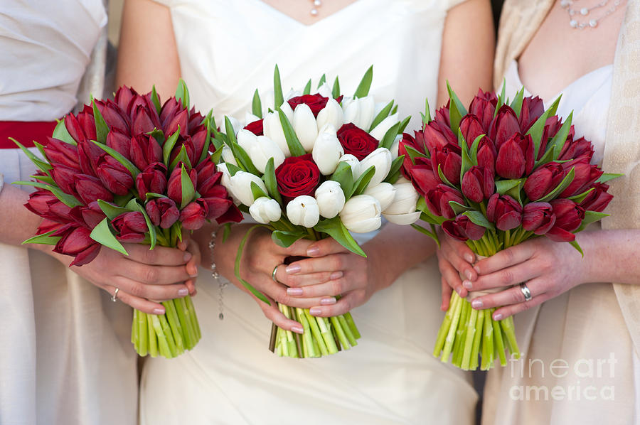 Red And White Tulip And Rose Wedding Bouquets Photograph By Lee Avison